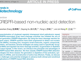【牢记嘱托 感恩奋进】生命科学学院李峰教授团队在生物技术领域顶刊《Trends in Biotechnology》上发表高水平论文