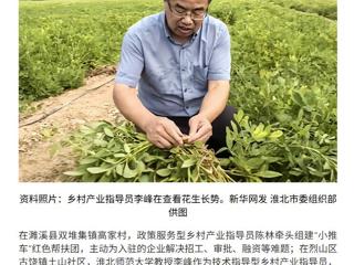 新华网报道beat365官网党委常委、副校长李峰教授参与烈山区乡村产业指导工作